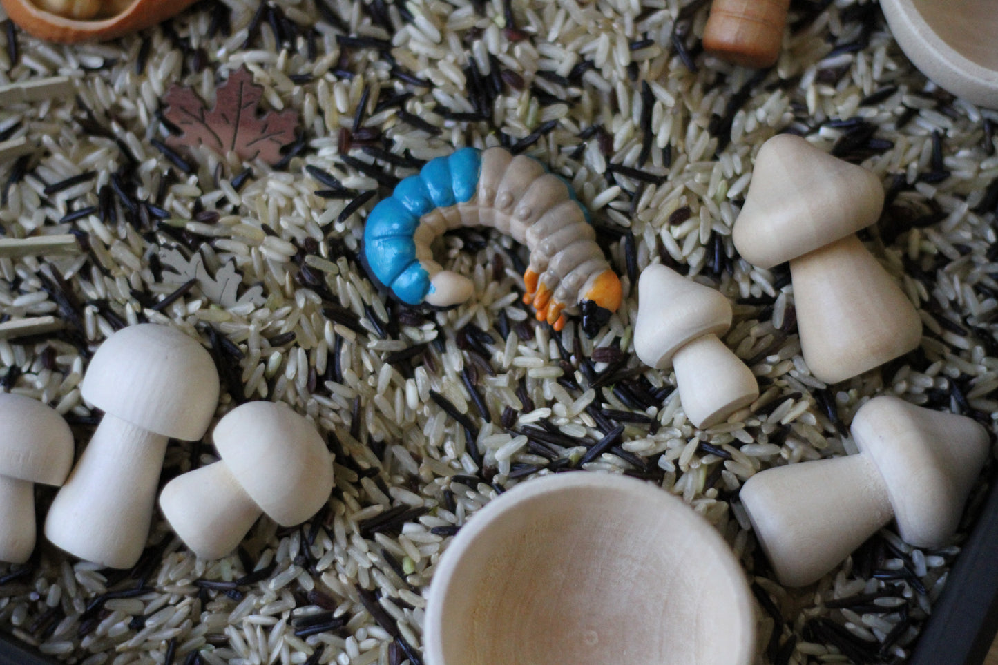 Kuwagata (Stag Beetle) Kit