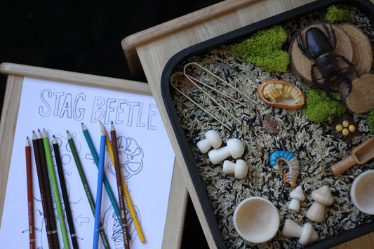 Kuwagata (Stag Beetle) Kit